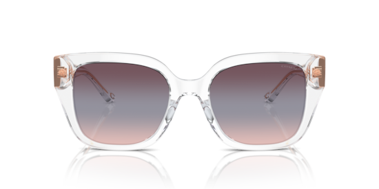 HC8392U CR611 Coach Transparent Clear