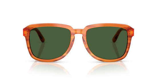 DG4566 Dolce & Gabbana Transparent Camel On Striped Ginger