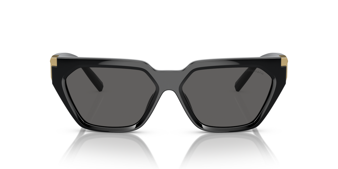 Sunglasses Tiffany TF4205U | Free Shipping | Glasses.com®