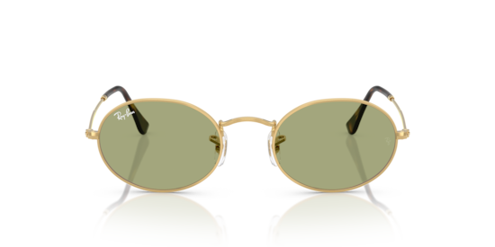 RB3547 Oval Metal Summer Capsule Ray-Ban Arista Gold