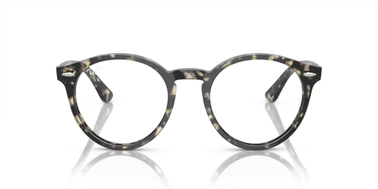 RB7680V Larry Optics Ray-Ban Grey Havana