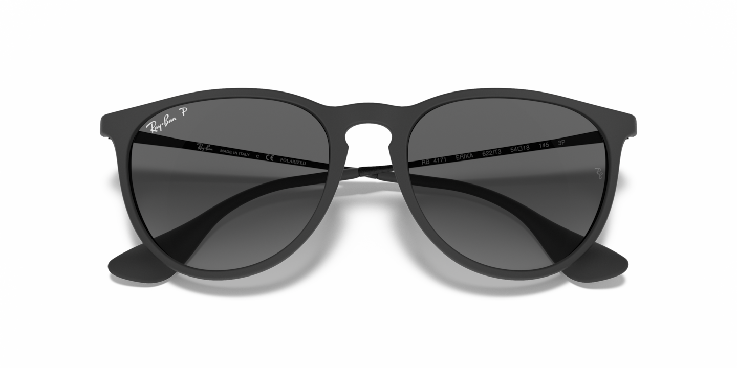 Sunglasses Ray-Ban RB4171 Erika Color Mix | Free Shipping