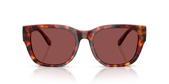 DL2005 Diesel Havana Brown