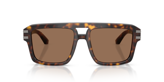 DG4562 Dolce & Gabbana Havana