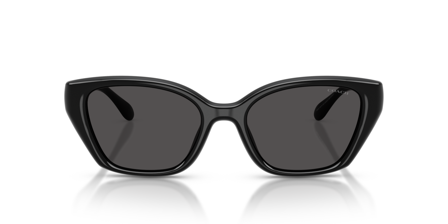 Coach AMERICAN BLACK 001 メガネ Sunglasses Coach HC8434U CBY91 | Free Shipping | Glasses.com®