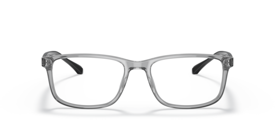 EA3098 Emporio Armani Transparent Grey