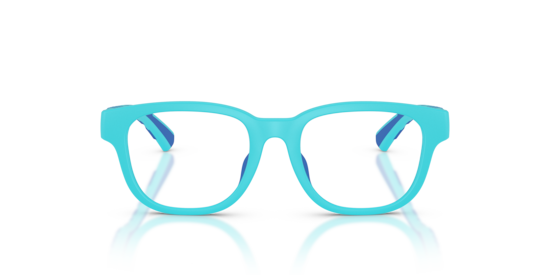 JB2017U Burberry Matte Light Blue