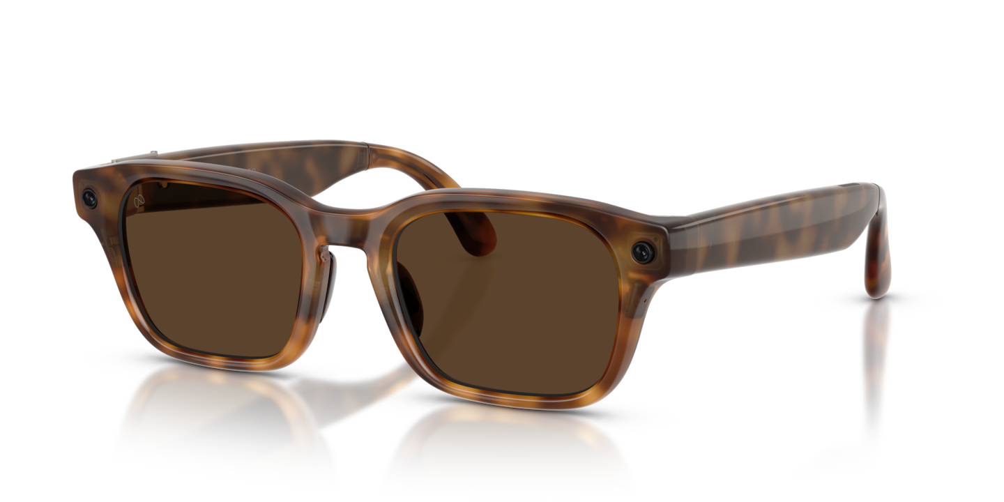 Meta Glasses Meta Adventurer Tortoise