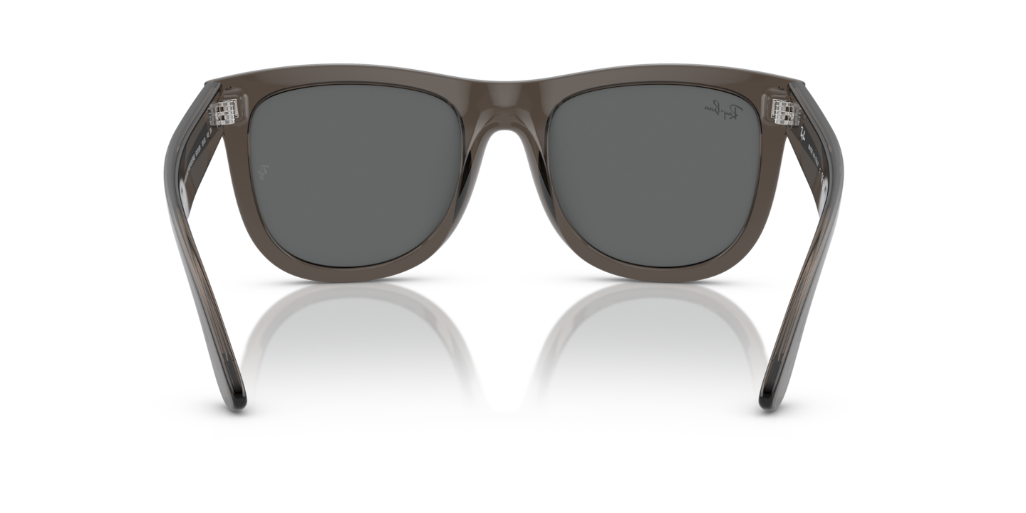Sunglasses Ray-Ban RBR0502S Wayfarer Reverse | Free Shipping