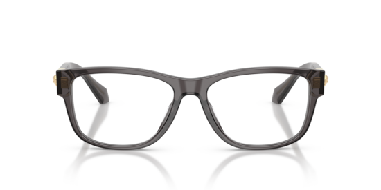 VE3403U Versace Transparent Grey