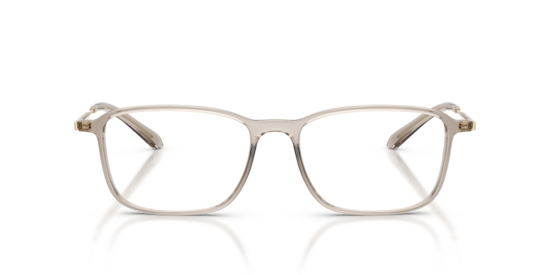 AR7294U Giorgio Armani Transparent Brown