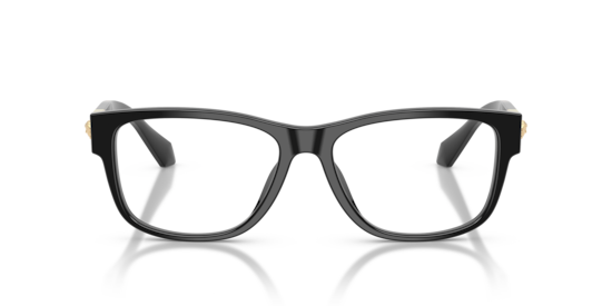 VE3403U Versace Black