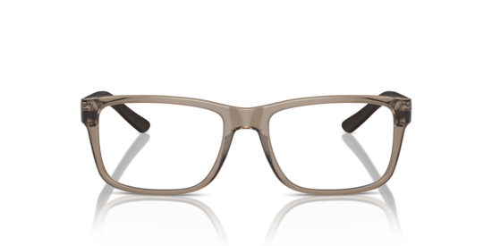 AX3016 Armani Exchange Shiny Transparent Brown