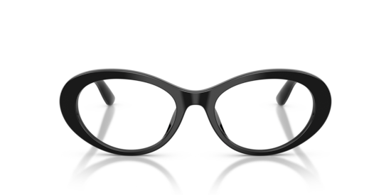 DG3450 Dolce & Gabbana Black
