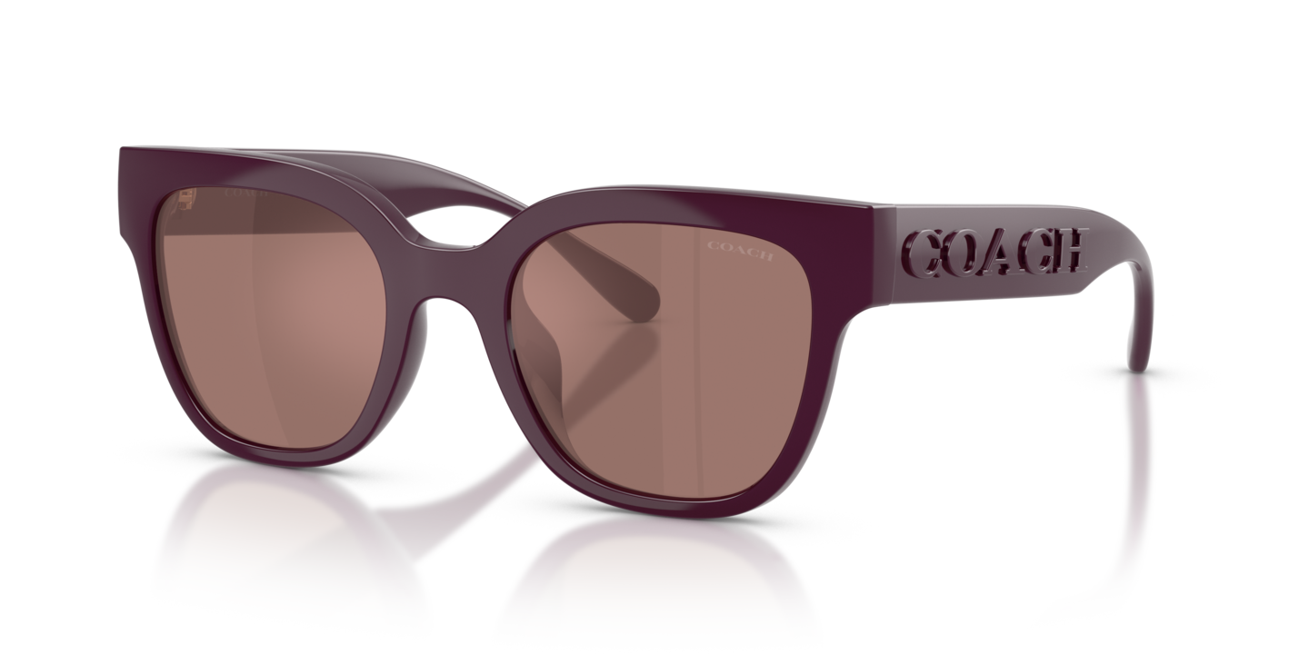 Coach HC8460U CFT88 Purple