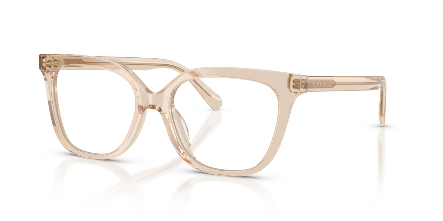Coach HC6302U Transparent Beige