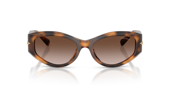 RL8243U Ralph Lauren Havana