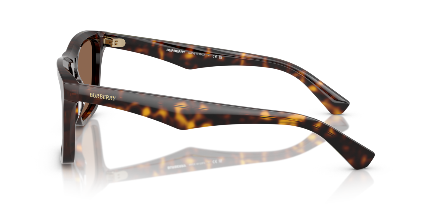 Sunglasses Burberry BE4434 | Free Shipping | Glasses.com®