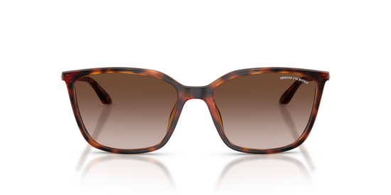 AX4171SU Armani Exchange Shiny Havana