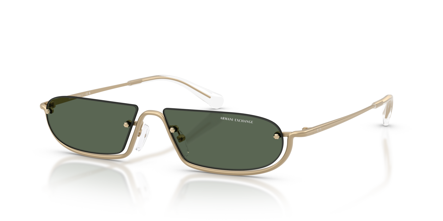 Armani Exchange AX2058S Matte Pale Gold