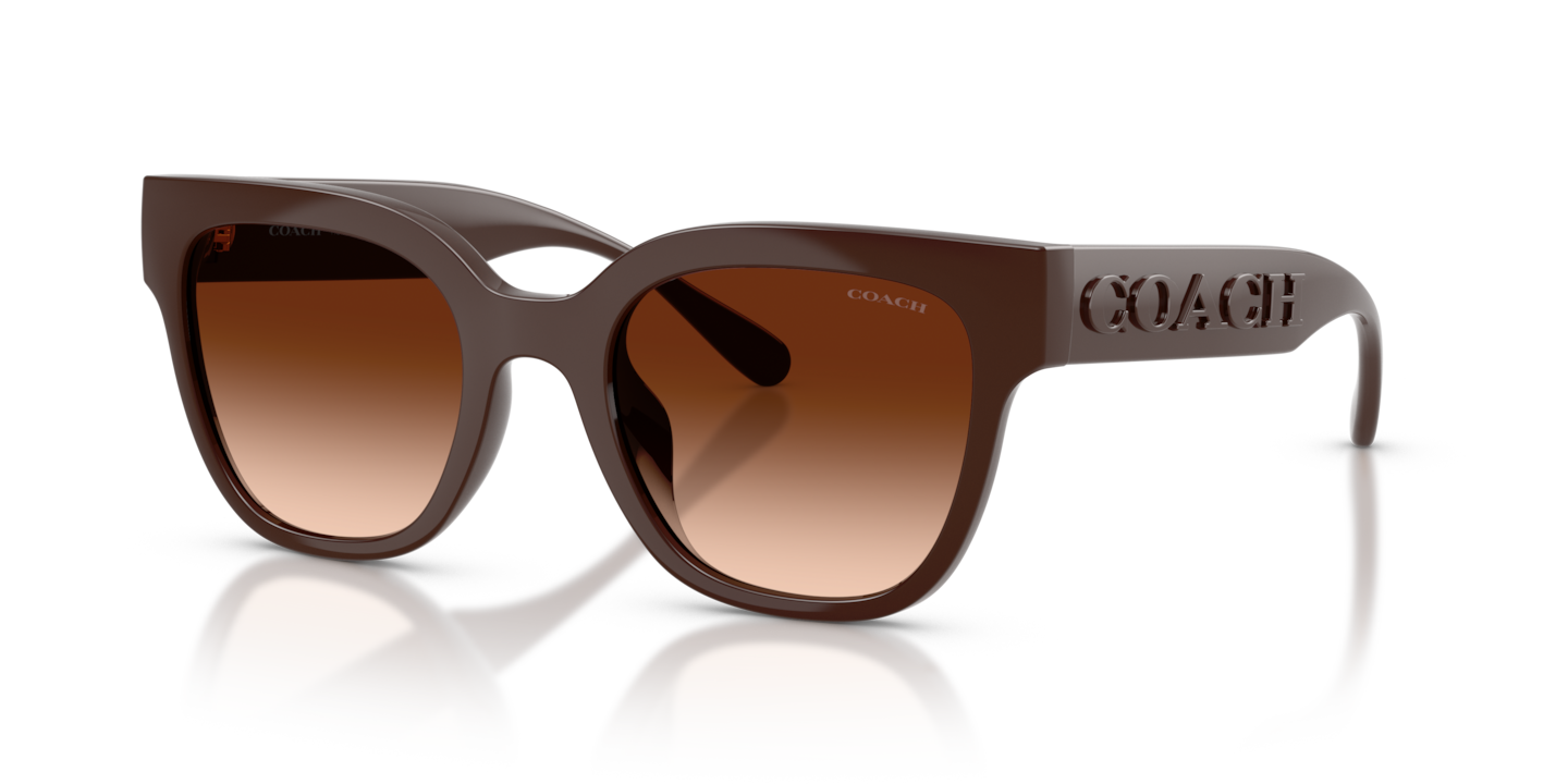 Coach HC8460U CFT88 Pecan