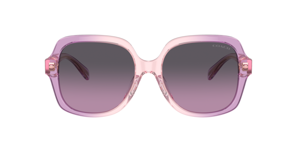 Shop Womens Sunglasses Coach at Glasses.com | Glasses.com®