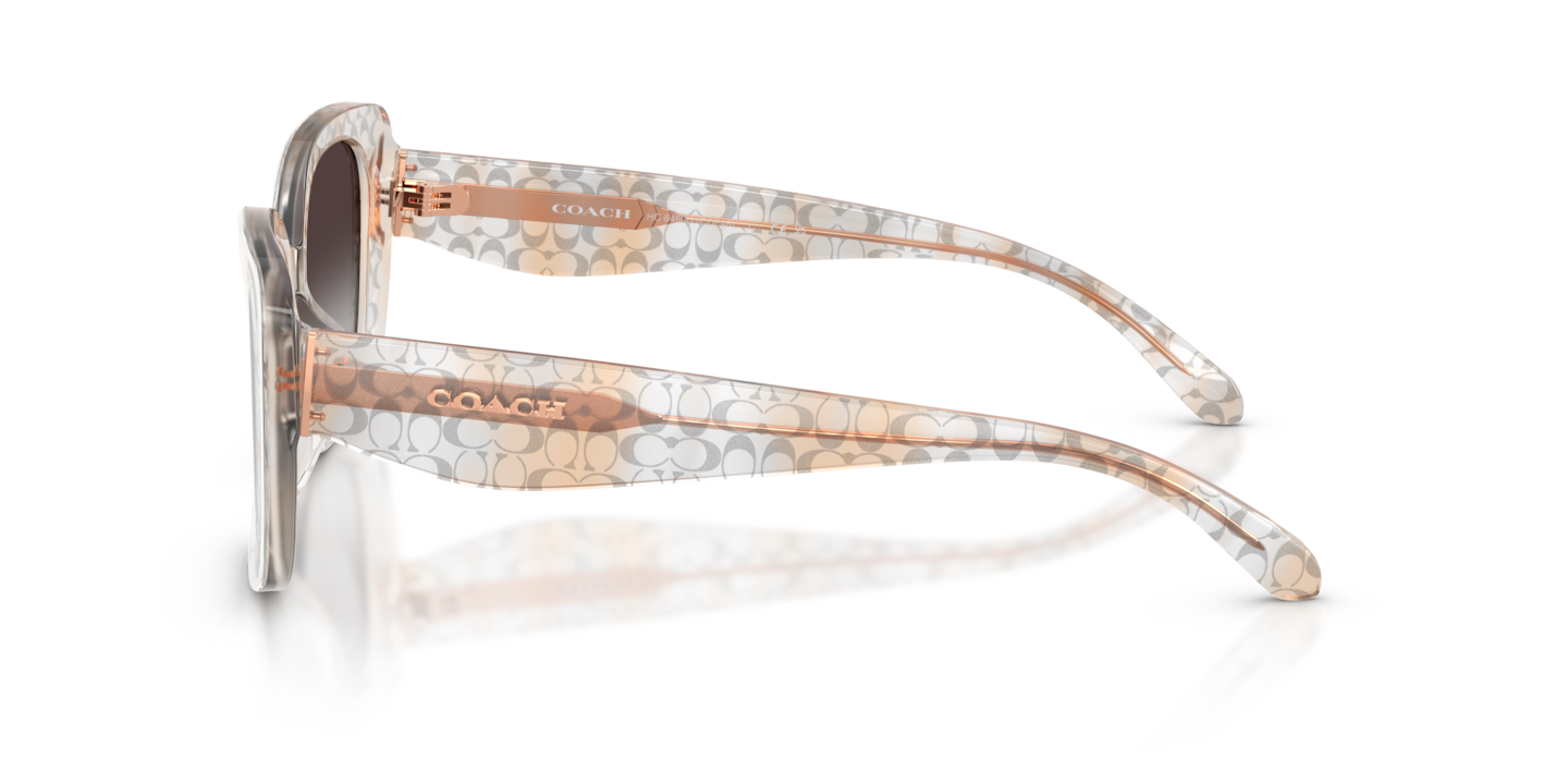 Sunglasses Coach HC8450U CDP48 | Free Shipping | Glasses.com®