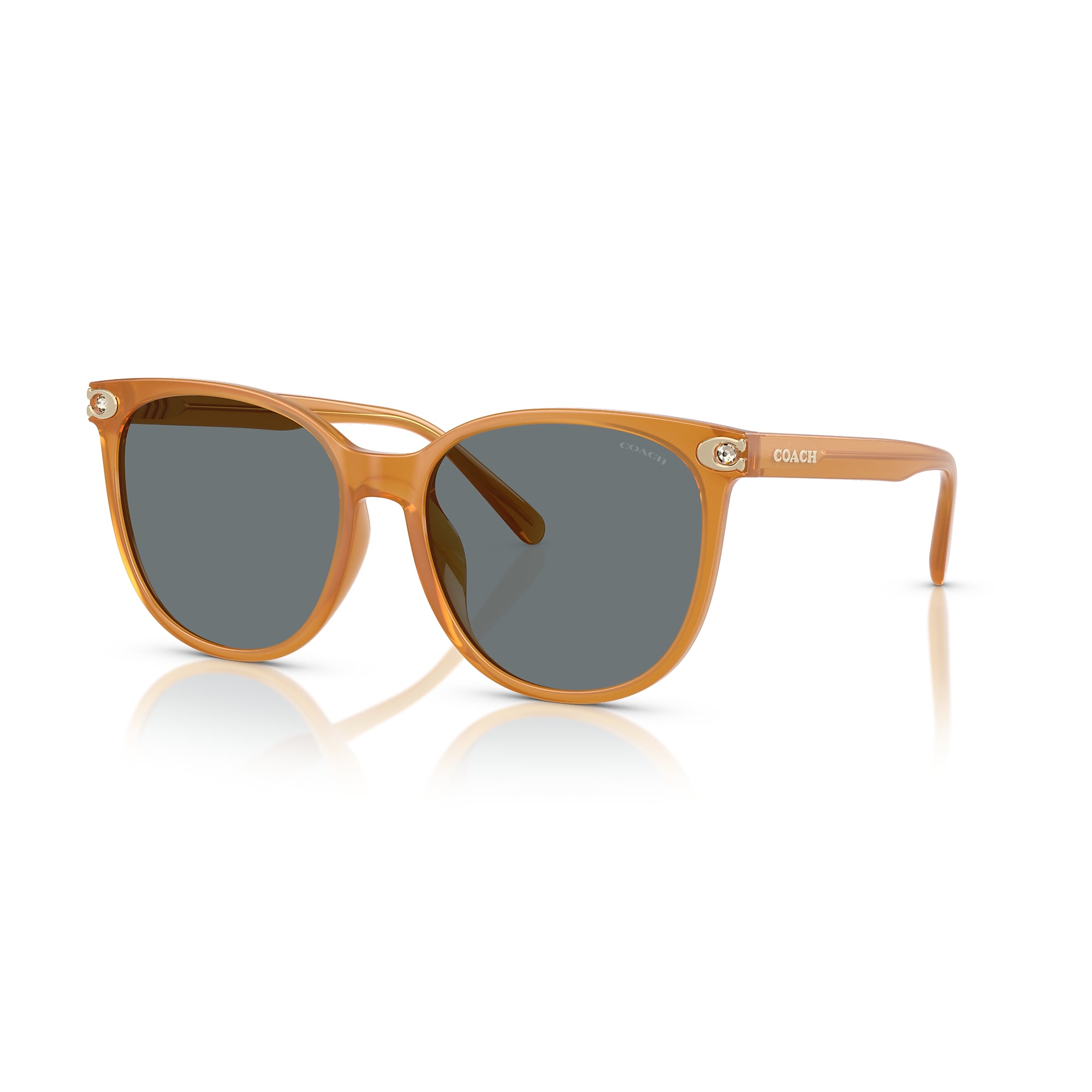 Sunglasses Coach HC8414BD CW428 | Free Shipping | Glasses.com®