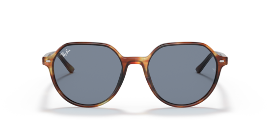 RB2195 Thalia Ray-Ban Striped Havana