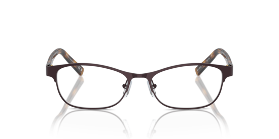AX1010 Armani Exchange Matte Brown