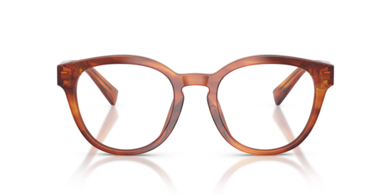 DG3421 Dolce & Gabbana Striped Ginger
