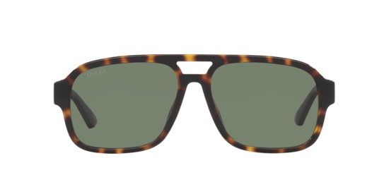 GG1342S Gucci Tortoise