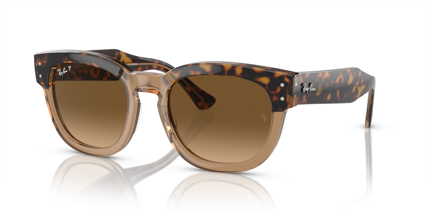 Ray-Ban RB0298S Mega Hawkeye Havana On Transparent Brown