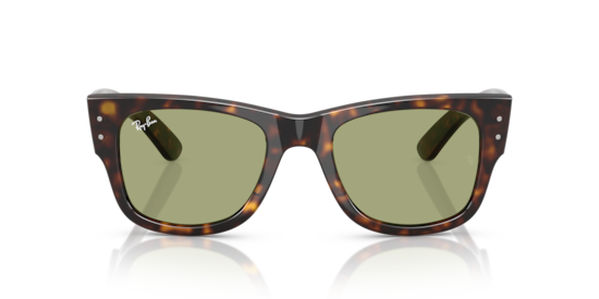 Sunglasses Ray-Ban RB0840S Mega Wayfarer Summer Capsule | Free