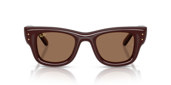 RB4940 Wayfarer Puffer Ray-Ban Dark Brown