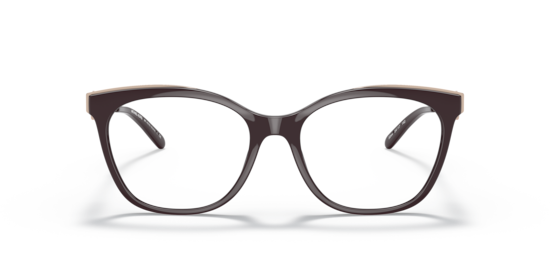 MK4076U Rome Michael Kors Brown