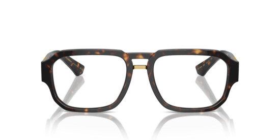 DG3389 Dolce & Gabbana Havana