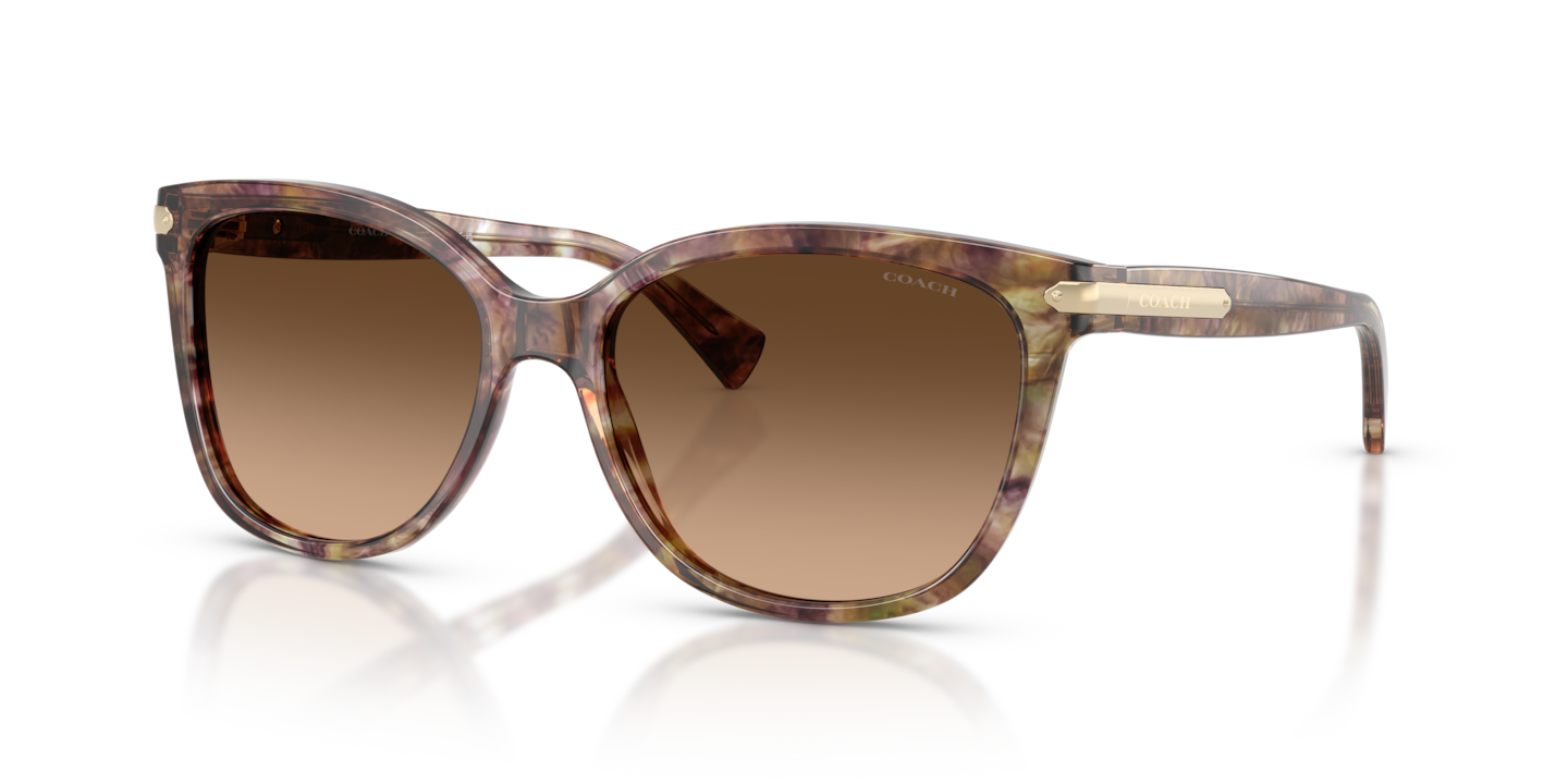 Coach HC8132 L109 Tortoise