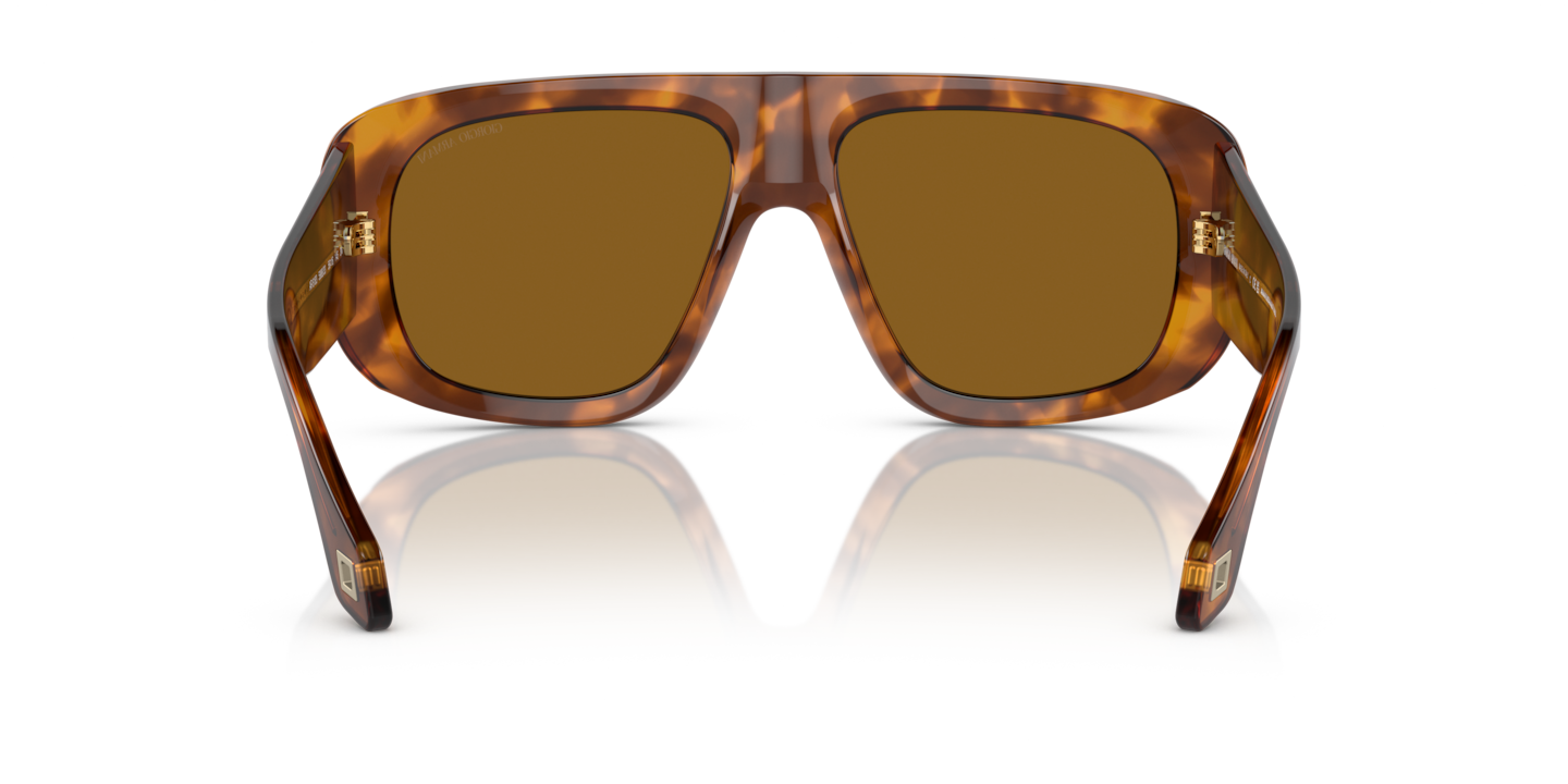 Sunglasses Giorgio Armani AR8183 | Free Shipping | Glasses.com®