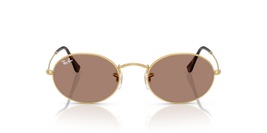 RB3547 Oval Metal Summer Capsule Ray-Ban Arista Gold