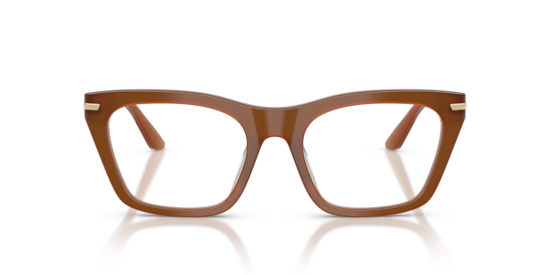 EA3283BU Emporio Armani Tobacco