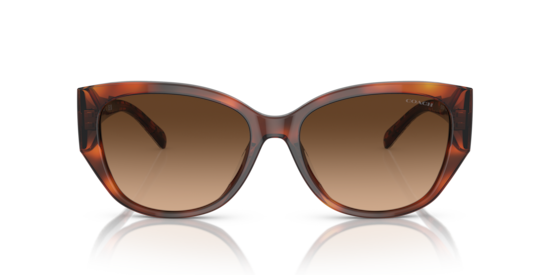 HC8362U CH563 Coach Caramel Tortoise