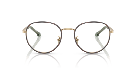 AR5151J Giorgio Armani Matte Pale Gold