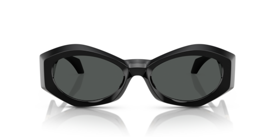 VE4466U Versace Black