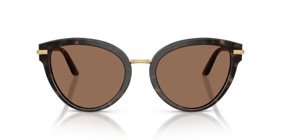 DG4492 Dolce & Gabbana Havana On White Barrow