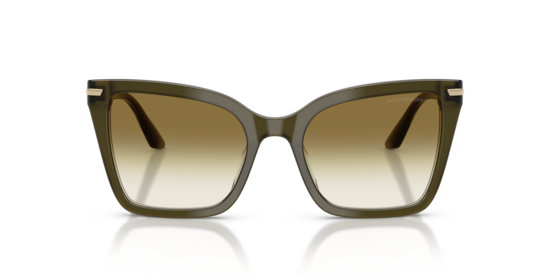EA4273BU Emporio Armani Shiny Dark Green