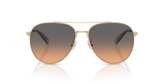 HC7169 CW193 Coach Shiny Light Gold