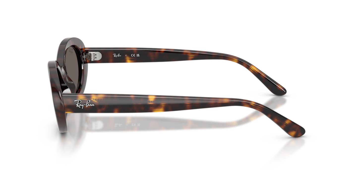 Sunglasses Ray-Ban RB2223 | Free Shipping | Glasses.com®