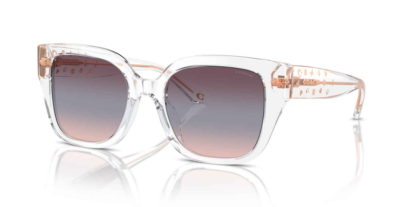 Coach HC8392U CR611 Transparent Clear