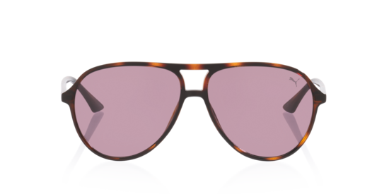 Pu0523S Puma Tortoise